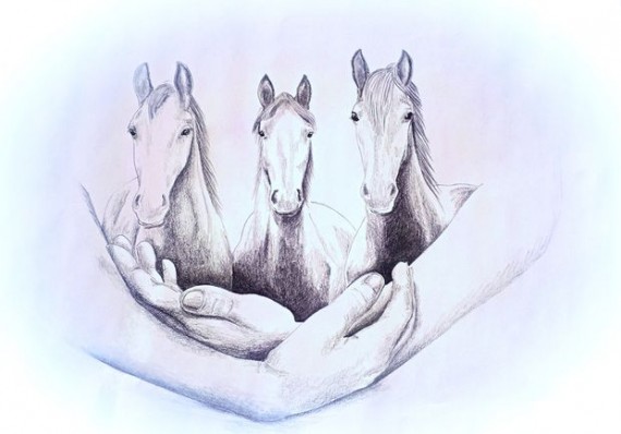 Během měsíce března 2020 došlo k výrazným omezením a opatřením vzhledem situaci s Covid-19. V existenčním ohrožení se tak ocitl náš milovaný Mirákl.